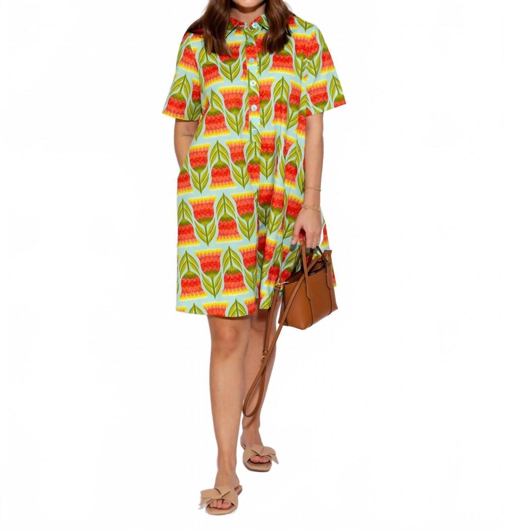 NEW IVY JANE swing shirt dress in multi color